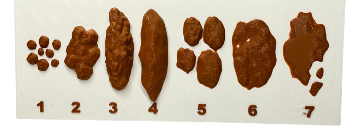 Escala de Bristol 3D